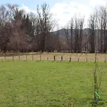 Montemare