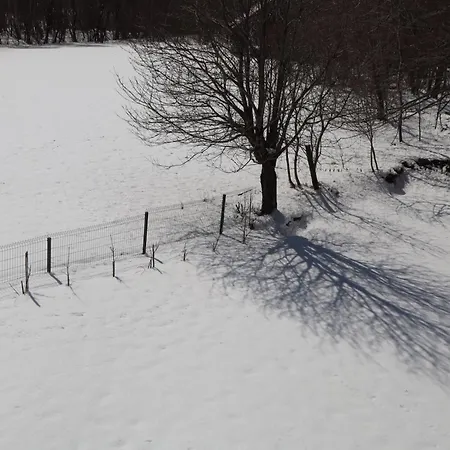 Montemare Lič