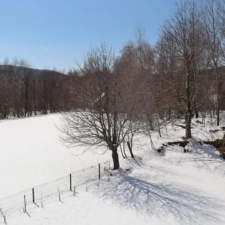 Montemare Villa Lič